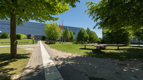 Foto des Gehwegs mit Blindenleitsystem, der zum Gebäude des Fachbereichs Architektur führt. Links und rechts des Gehwegs sind Wiesen mit Bäumen und Sitzgelegenheiten.