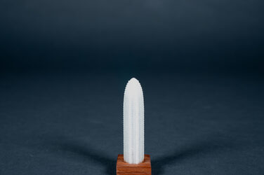In this picture, a 3D-printed model made of translucent plastic, about three centimetres high, is presented on a thin wooden base. It shows the Agbar Tower in Barcelona, Spain. Its shape and the relief on its surface are strongly reminiscent of a corn cob.