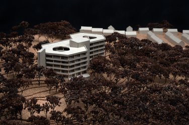 The photo shows the central model building surrounded by dense model trees, with other buildings in the background. The topography is represented by fine layers.