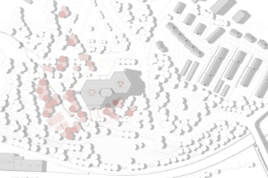 A topographical site plan shows the building ensemble in the midst of dense tree structures with contour lines. Marked areas and paths highlight the planned interventions.