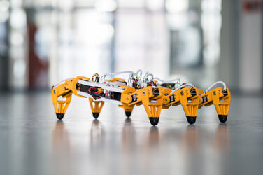 Foto einer gelben Roboter-Spinne.