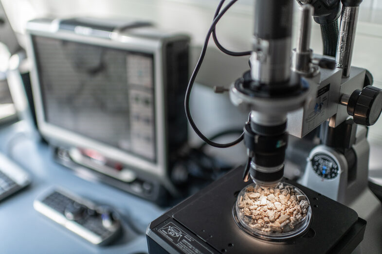 Mikroskop mit Materialprobe im Fachbereich Architektur