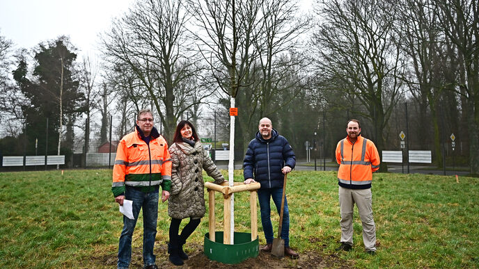 Four people stand around a newly planted tree.