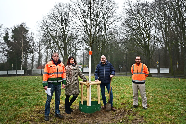 Four people stand around a newly planted tree.