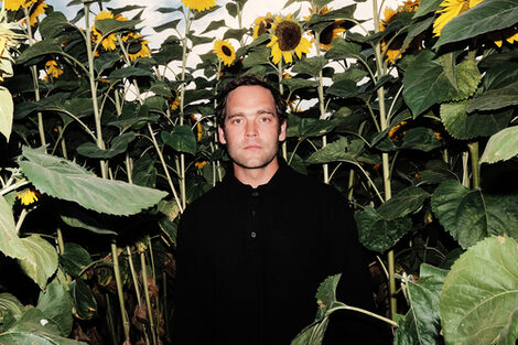 A male figure stands deep in a field of sunflowers.