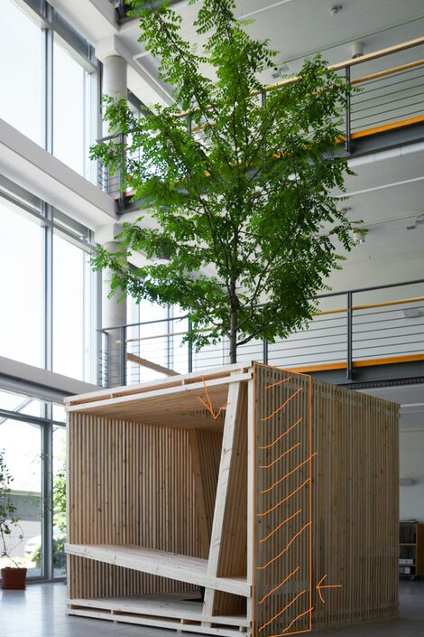 Der Prototyp des FH-WürFHels - ein gut 2, 4 Meter großer Sitzwürfel aus Holz mit Platz für einen Baum in der Mitte. Der Prototyp auf dem Bild ist im Atrium des Fachbereichs Architektur aufgebaut.