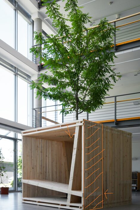 The prototype of the FH-WürFHel - a 2.4 meter tall wooden seating cube with space for a tree in the middle. The prototype in the picture is set up in the atrium of the Faculty of Architecture.