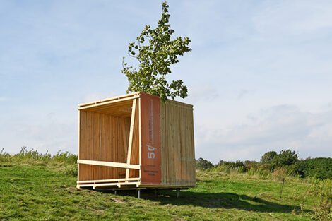 A wooden cube to sit on stands on a meadow. A tree grows in the middle of the cube.