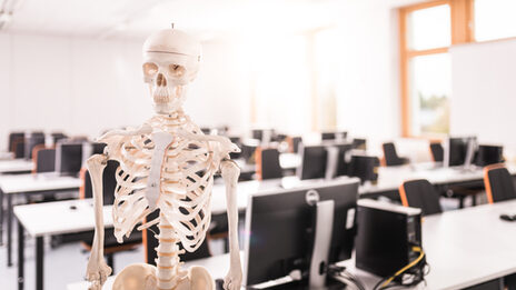 Foto von einem künstlichen Skelett auf einem Ständer, das bis zur Hüfte zu sehen ist. Im Hintergrund der Computerraum der medizinischen Informatik.