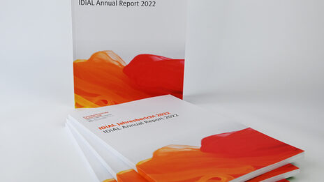 Abbildung von 4 Broschüren, stehend und liegend mit dem Titel IDiAL Jahresbericht 2022 und einem welligen orange roten Motiv.
