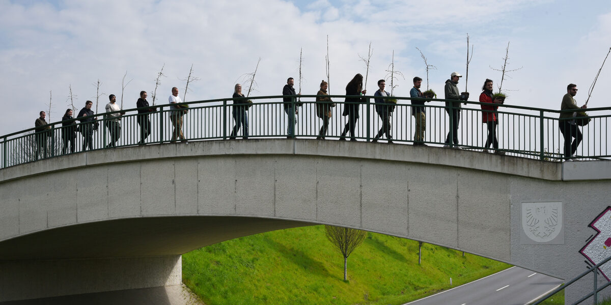 Mehrere Personen laufen hintereinander über eine Fußgängferbrücke und halten jeweils eine kleine Pflanze.