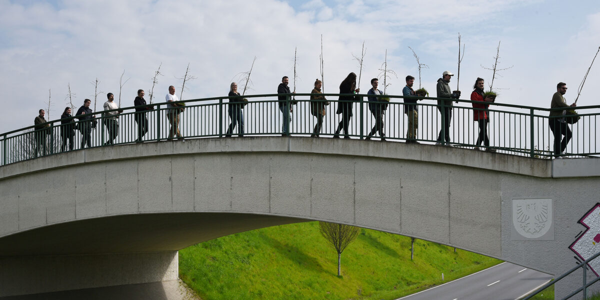 Several people walk one after the other across a pedestrian bridge, each holding a small plant.