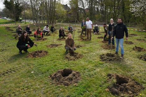 Several people can be seen on a meadow where small plants have just been dug in.