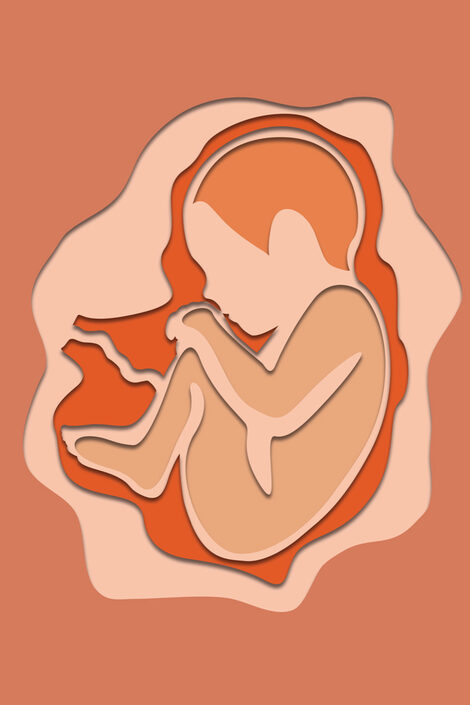 vereinfachte Illustration eines Babys im Bauch der Mutter