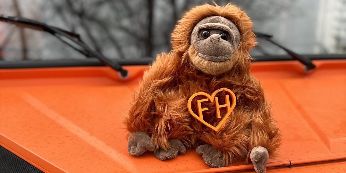 A monkey sits on a vintage car.