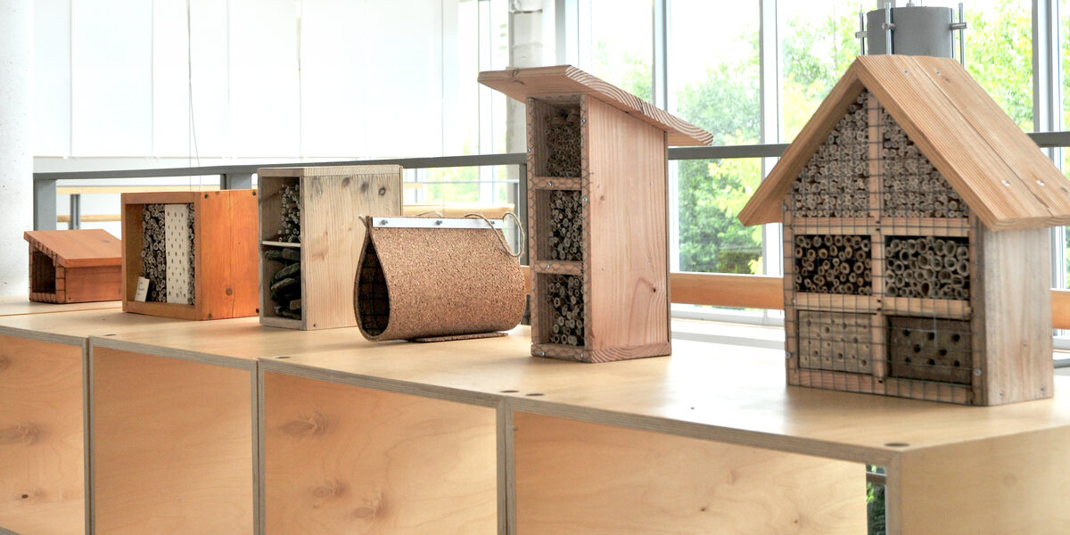 A series of differently designed insect hotels made of wood and natural materials, displayed on a wooden shelf in a bright, modern interior with large windows.