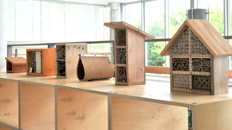 Reihe von unterschiedlich gestalteten Insektenhotels aus Holz und Naturmaterialien, ausgestellt auf einem Holzregal in einem hellen, modernen Innenraum mit großen Fenstern.