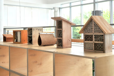 Reihe von unterschiedlich gestalteten Insektenhotels aus Holz und Naturmaterialien, ausgestellt auf einem Holzregal in einem hellen, modernen Innenraum mit großen Fenstern.