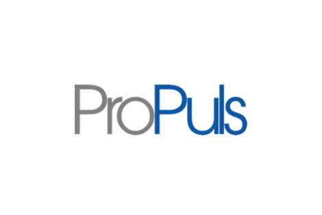 Logo Partner ProPuls GmbH