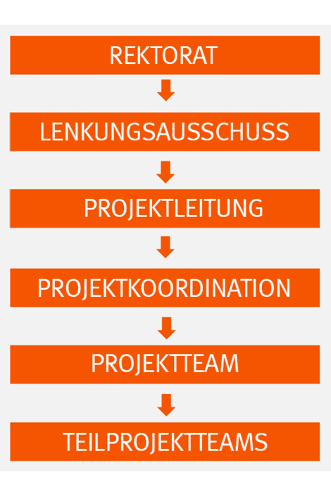 Darstellung der Projektorganisation des Forschungsinformationssystem-Projekts. __ Depiction of the project organisation for the project FIS.