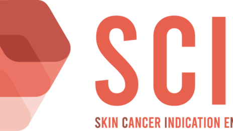 Projektlogo skin cancer indication engineering