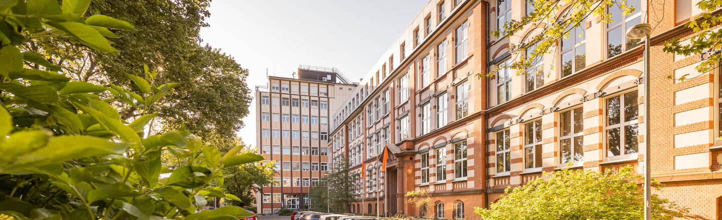 Foto des Altbaus und des Hochhauses an der Sonnenstraße mit Parkplatz davor. Links im Bild im Anschnitt ein blühender Busch.