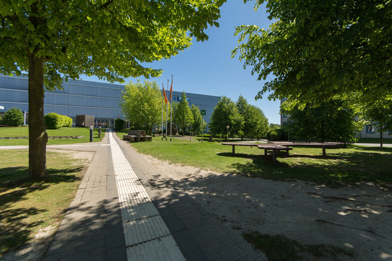 Foto des Gehwegs mit Blindenleitsystem, der zum Gebäude des Fachbereichs Architektur führt. Links und rechts des Gehwegs sind Wiesen mit Bäumen und Sitzgelegenheiten.