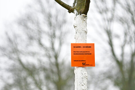 Ein Schild mit der Aufschrift 50 Jahre - 50 Bäume hängt an einem jungen Baumstamm.